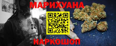 мяу мяу мука Моздок