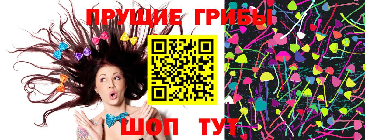 Балаково  Псилоцибиновые грибы MAGIC MUSHROOMS  Вход с VPN  как найти закладки  Галлюциногенные грибы Cubensis 